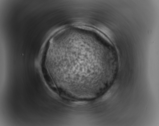 X0000092091392200710031146