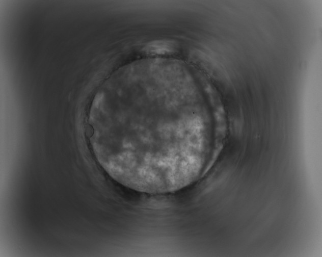 X0000092091393200710031146