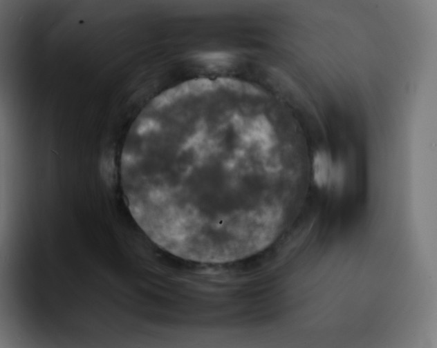 X0000092091395200710031146