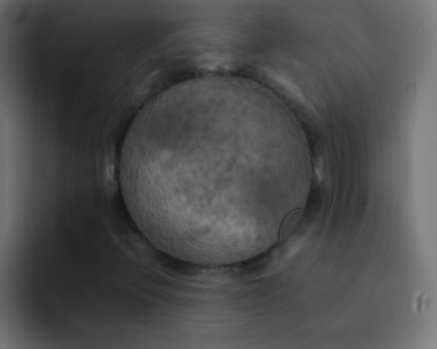 X0000092091396200710031146