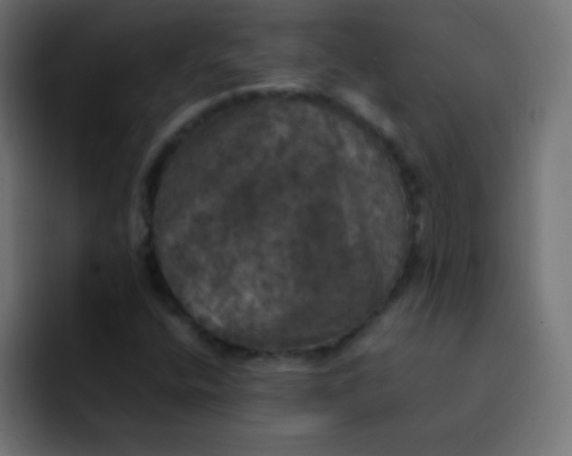 X0000092091400200710031146