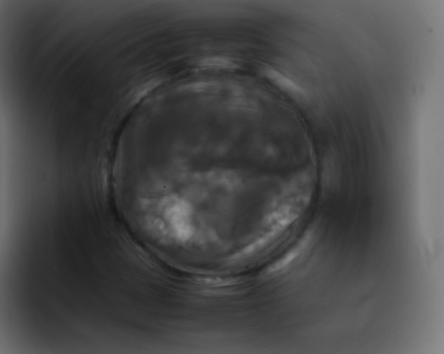 X0000092091401200710031146
