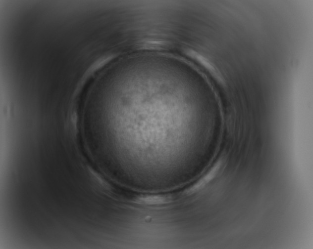 X0000092091402200710031146