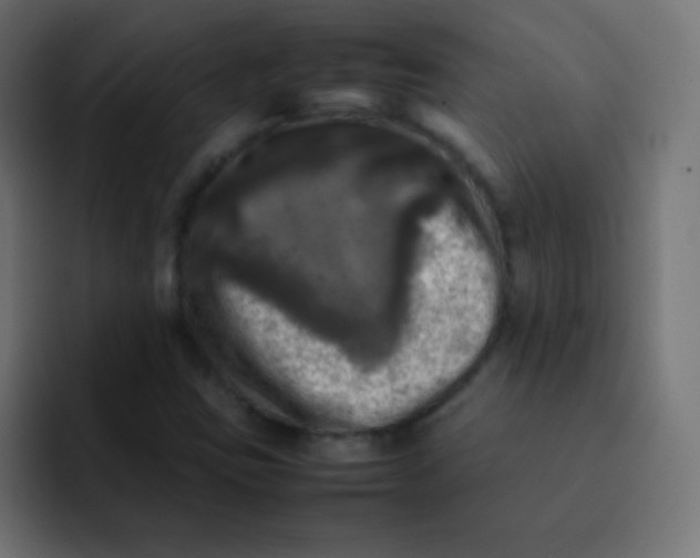 X0000092091403200710031146