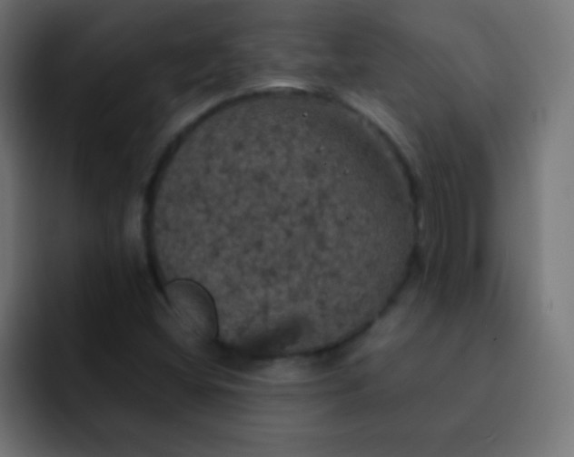 X0000092091404200710031146
