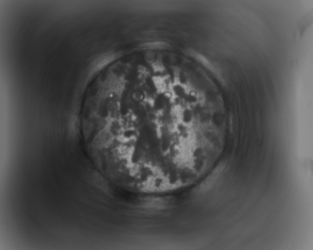 X0000092091405200710031146