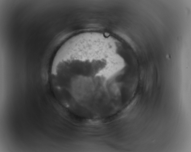 X0000092091407200710031146