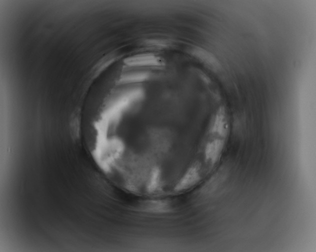 X0000092091409200710031146