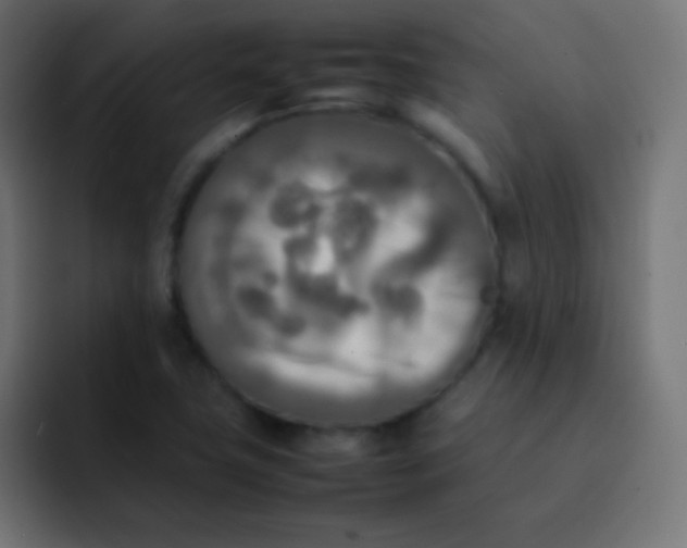X0000092091411200710031146