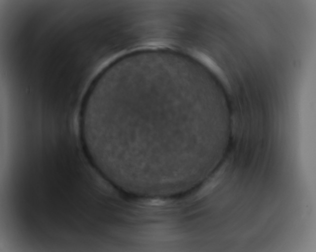 X0000092091412200710031146