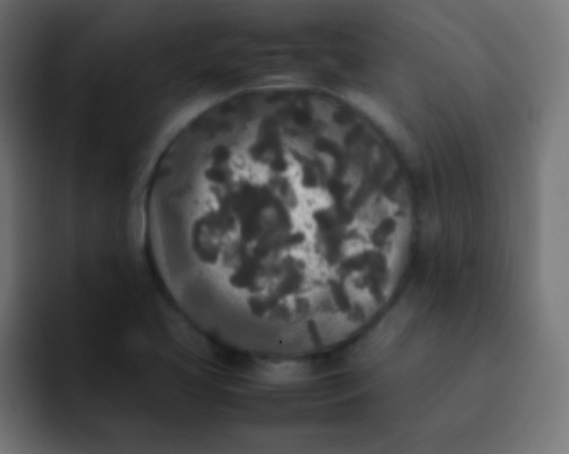 X0000092091413200710031146