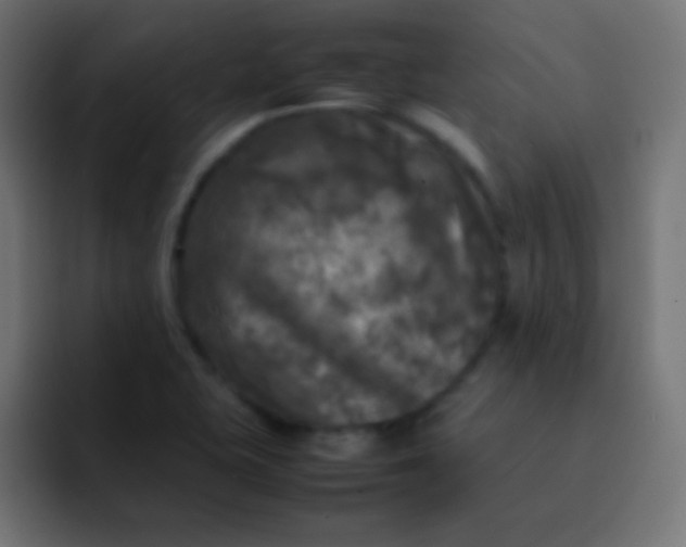 X0000092091415200710031146