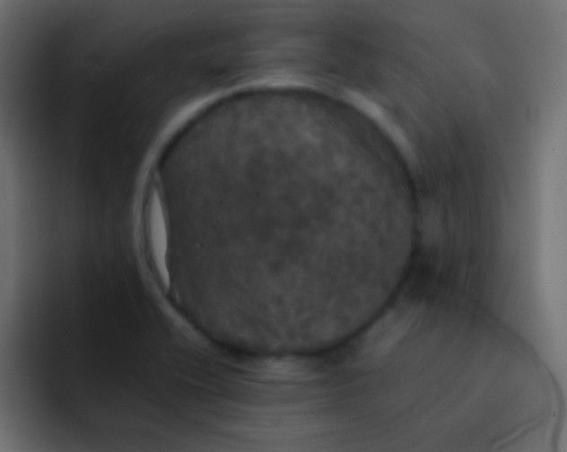 X0000092091416200710031146