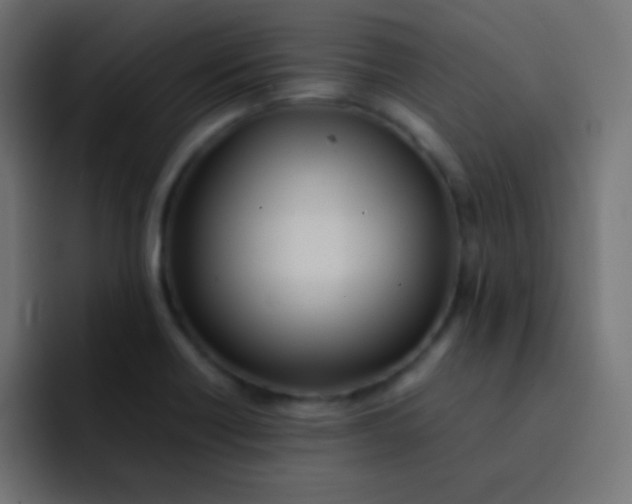 X0000092091418200710031146