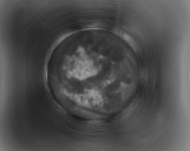 X0000092091419200710031146