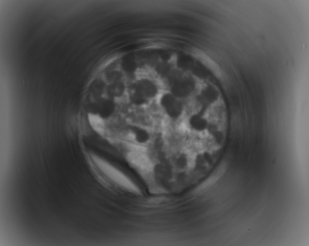 X0000092091425200710031146