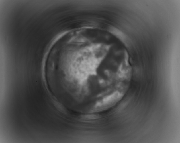 X0000092091427200710031146