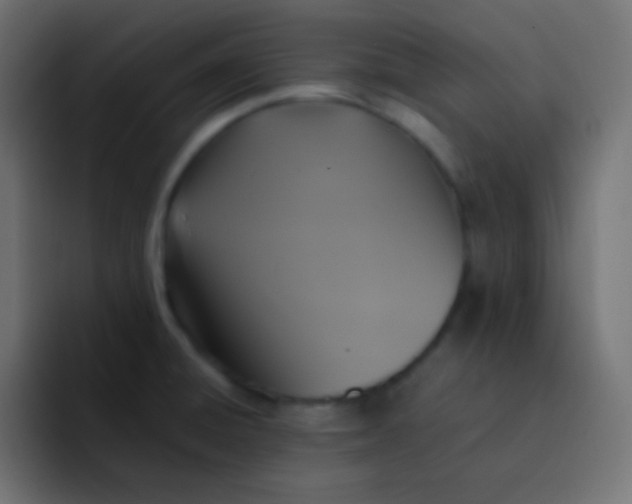 X0000092091428200710031146