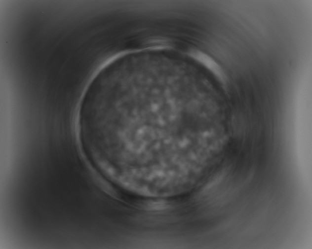 X0000092091431200710031146
