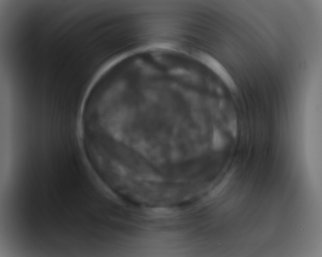 X0000092091436200710031146