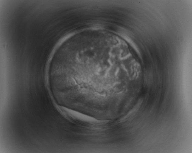 X0000092091437200710031146