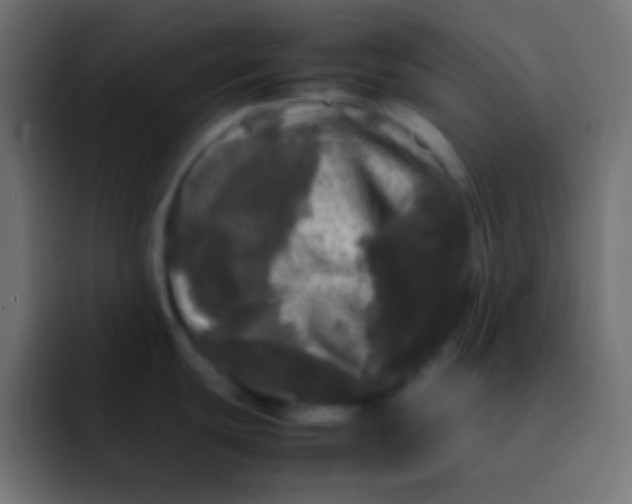X0000092091439200710031146