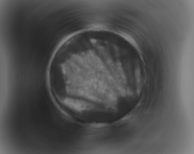 X0000092091440200710031146