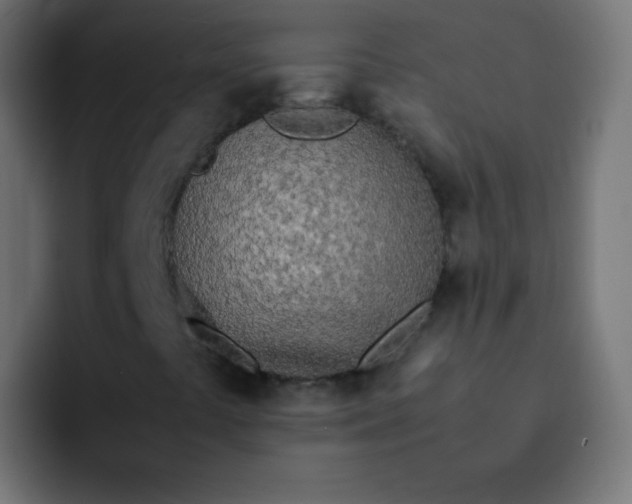 X0000092091441200710031146