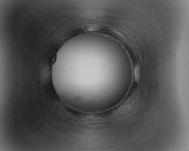 X0000092091443200710031146
