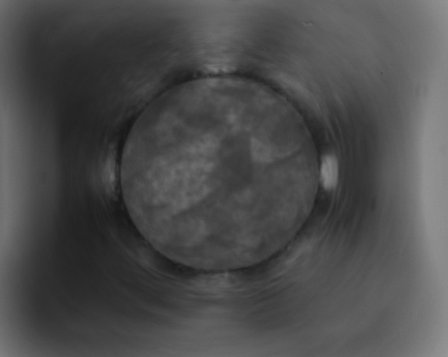 X0000092091444200710031146