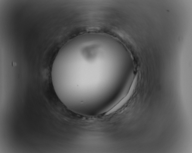 X0000092091445200710031146