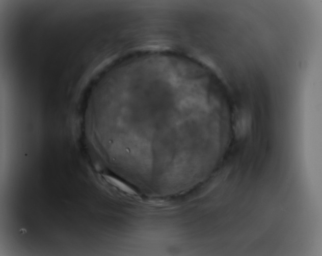 X0000092091448200710031146