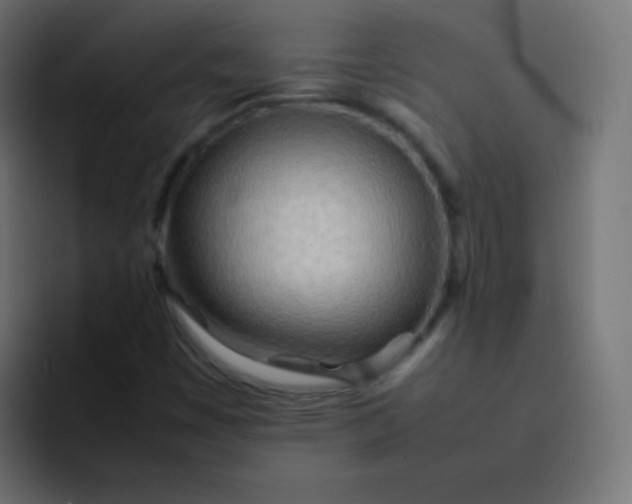 X0000092091449200710031146