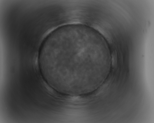X0000092091452200710031146