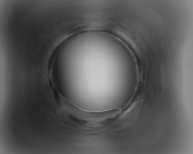 X0000092091453200710031146