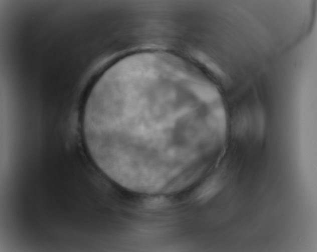 X0000092091454200710031146