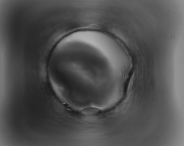 X0000092091455200710031146