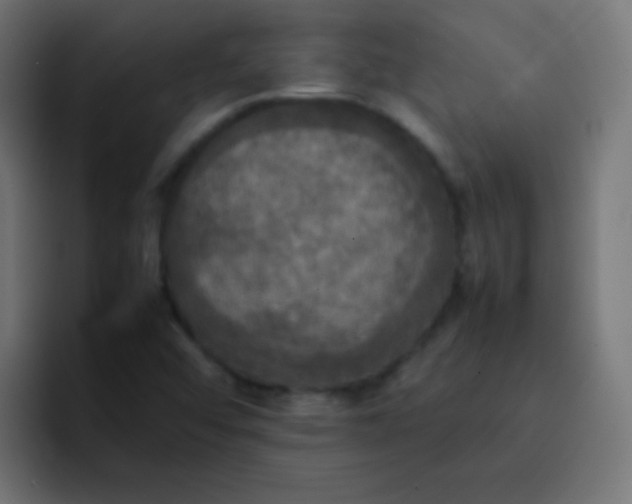 X0000092091456200710031146