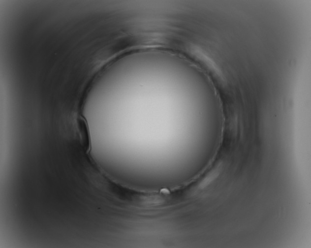 X0000092091457200710031146