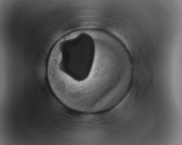 X0000092091459200710031145