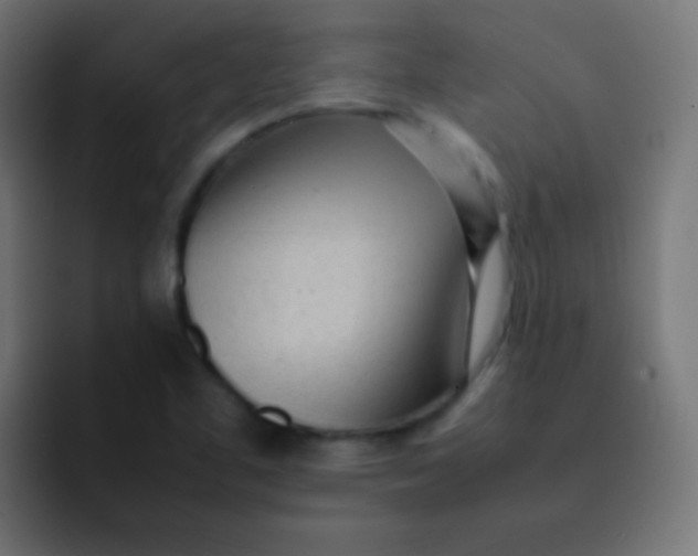 X0000092091461200710031145