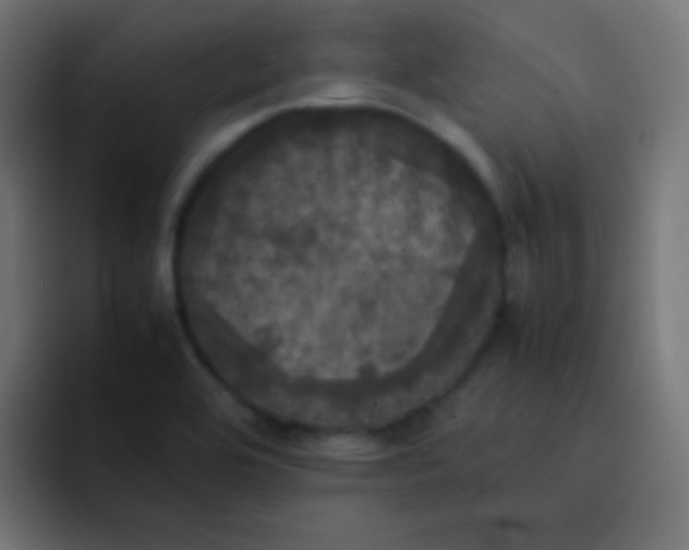 X0000092091464200710031145