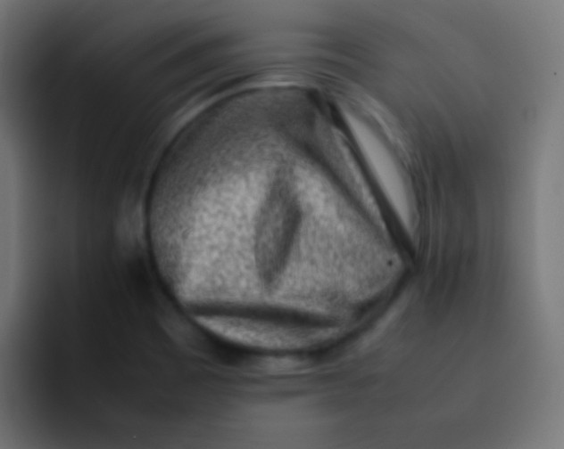 X0000092091465200710031145