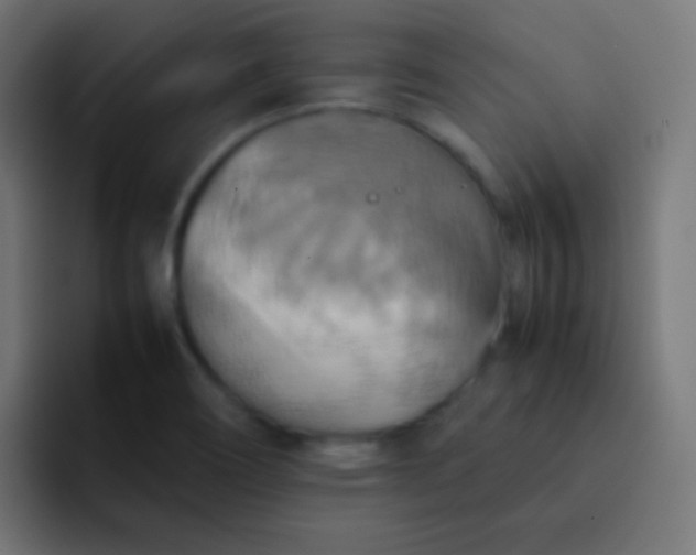 X0000092091466200710031145