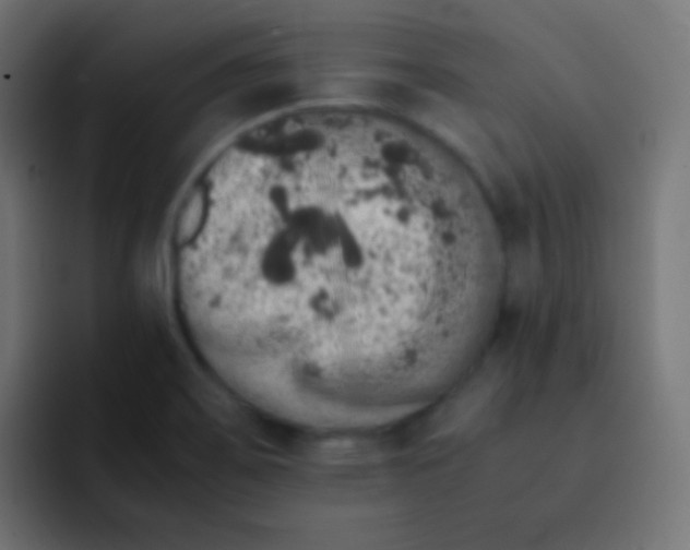 X0000092091467200710031145