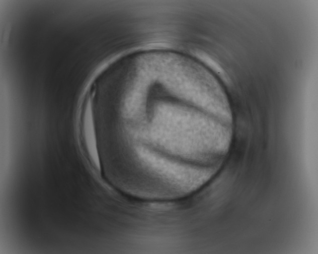 X0000092091469200710031145
