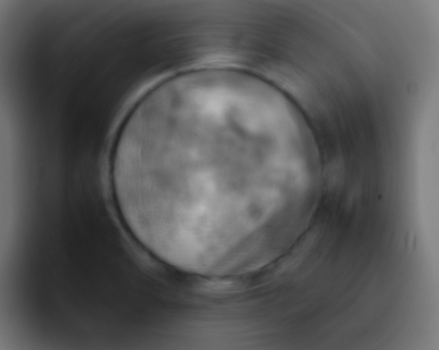 X0000092091470200710031145