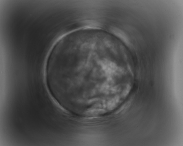X0000092091471200710031145