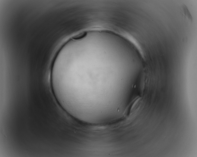 X0000092091472200710031145