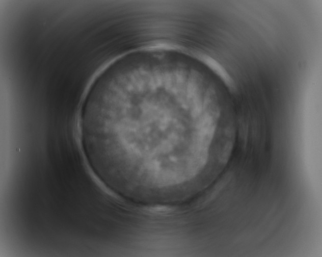 X0000092091476200710031145